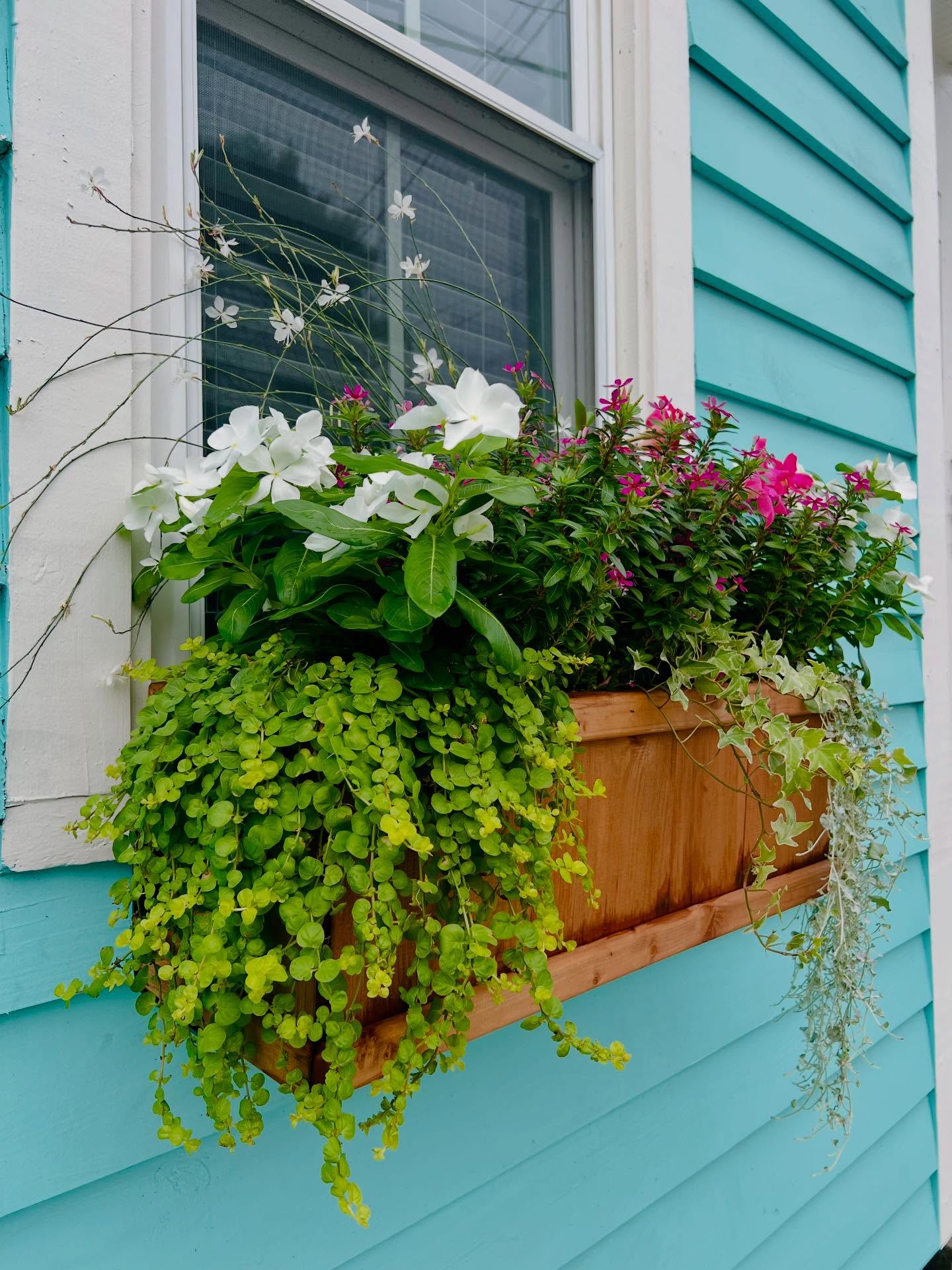 Charleston porch with seasonal planters